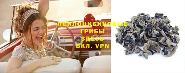 ешки Верхний Тагил
