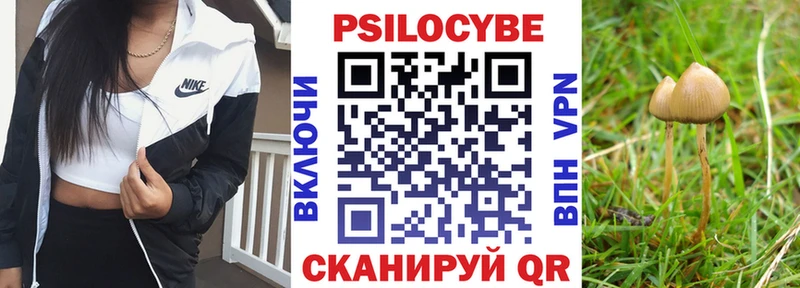 Галлюциногенные грибы Psilocybine cubensis Кемь